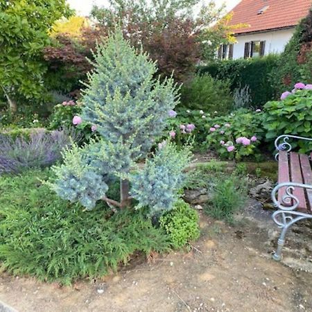 Apartma Jozica In Toncek Sveti Jurij ob Scavnici Экстерьер фото